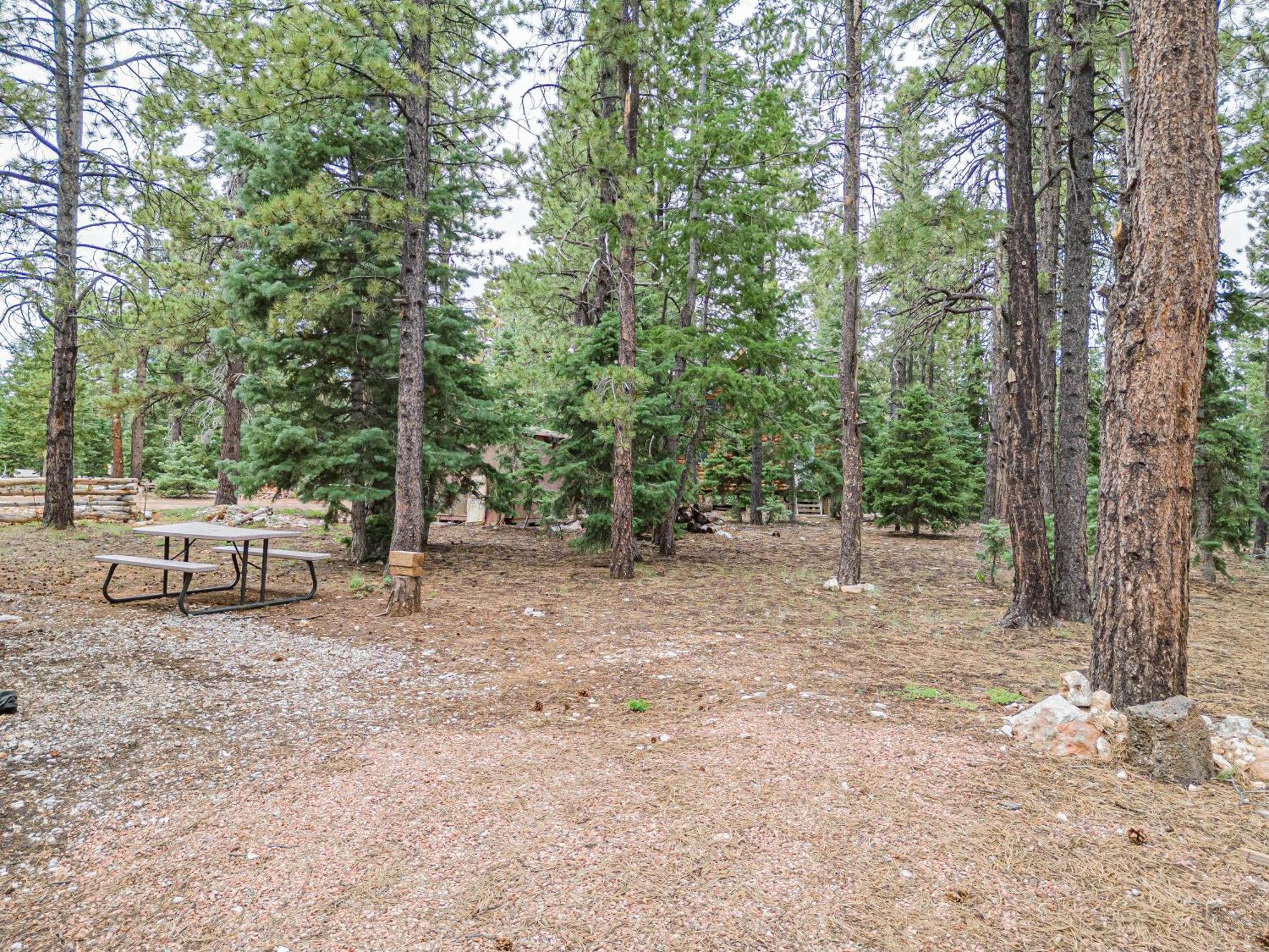 Hillside Hideaway Villa Duck Creek Village Екстериор снимка